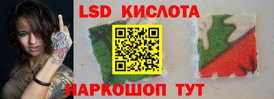ПСИЛОЦИБИНОВЫЕ ГРИБЫ Новозыбков