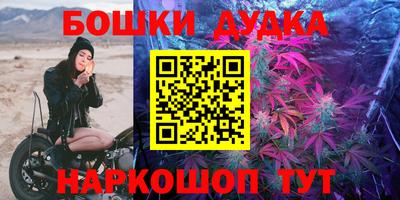 ПСИЛОЦИБИНОВЫЕ ГРИБЫ Новозыбков