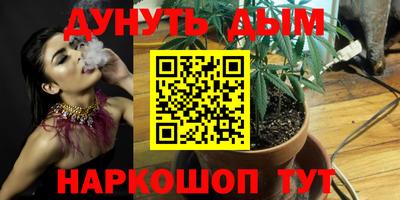 ПСИЛОЦИБИНОВЫЕ ГРИБЫ Новозыбков