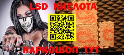 ПСИЛОЦИБИНОВЫЕ ГРИБЫ Новозыбков