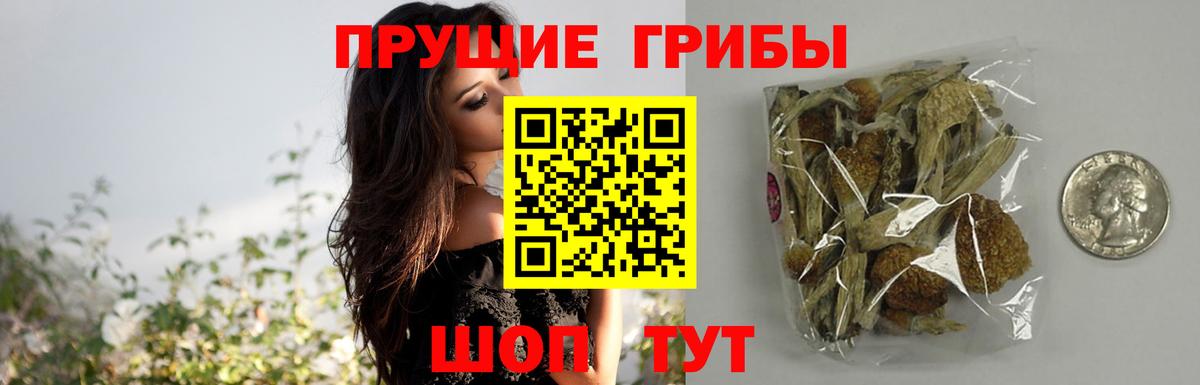 Урюпинск  Псилоцибиновые грибы GOLDEN TEACHER  Вход с VPN 